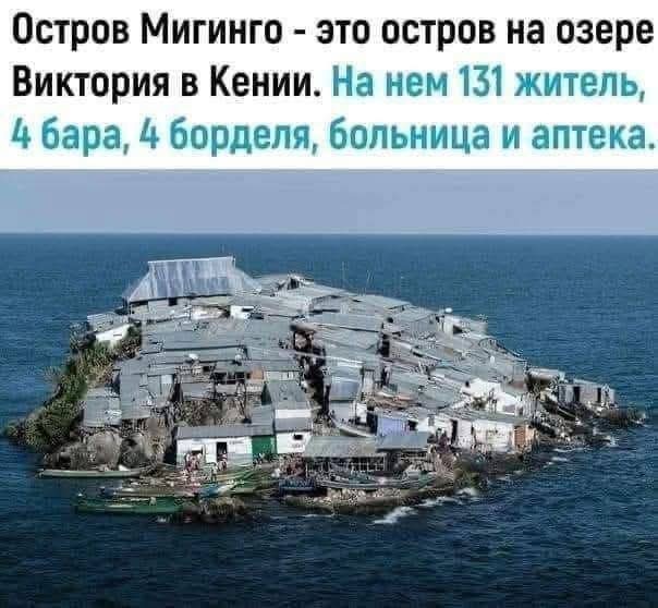 Приколы дня 
